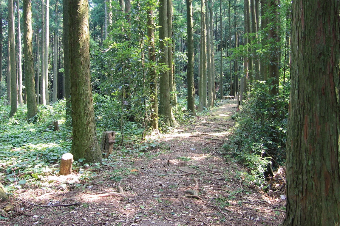 世界遺産・熊野古道にあるさまざまなトレッキングコース
